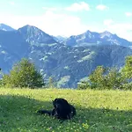 Im 4-sterne Ueber Interlaken-thunersee