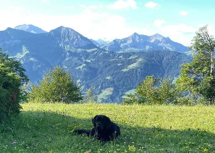 Im 4-sterne Ueber Interlaken-thunersee