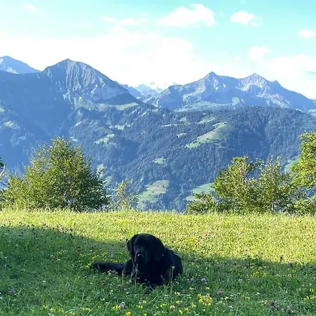 Im 4-sterne Ueber Interlaken-thunersee